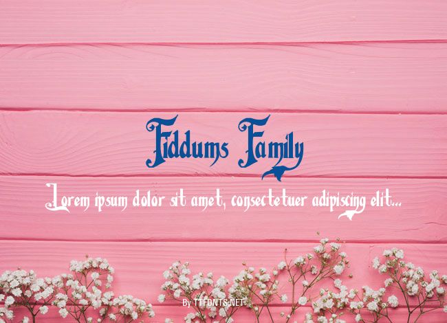 Fiddums Family example